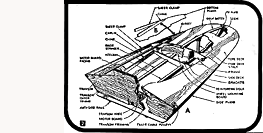The MiniMost Forum